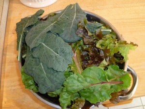 Winter greens harvested in mid-April