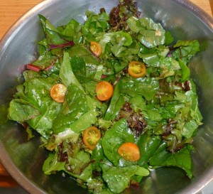 Salad from the garden