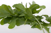 Arugula