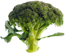 Broccoli