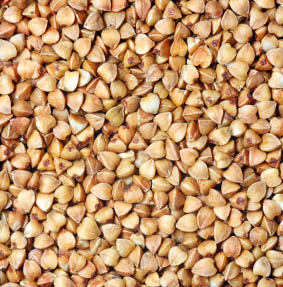 Buckwheat