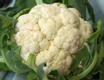 Cauliflower