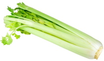 Celery