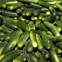 Cucumbers