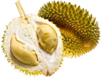 Durian