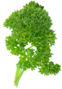 Parsley