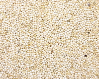 Quinoa