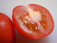 Tomatoes